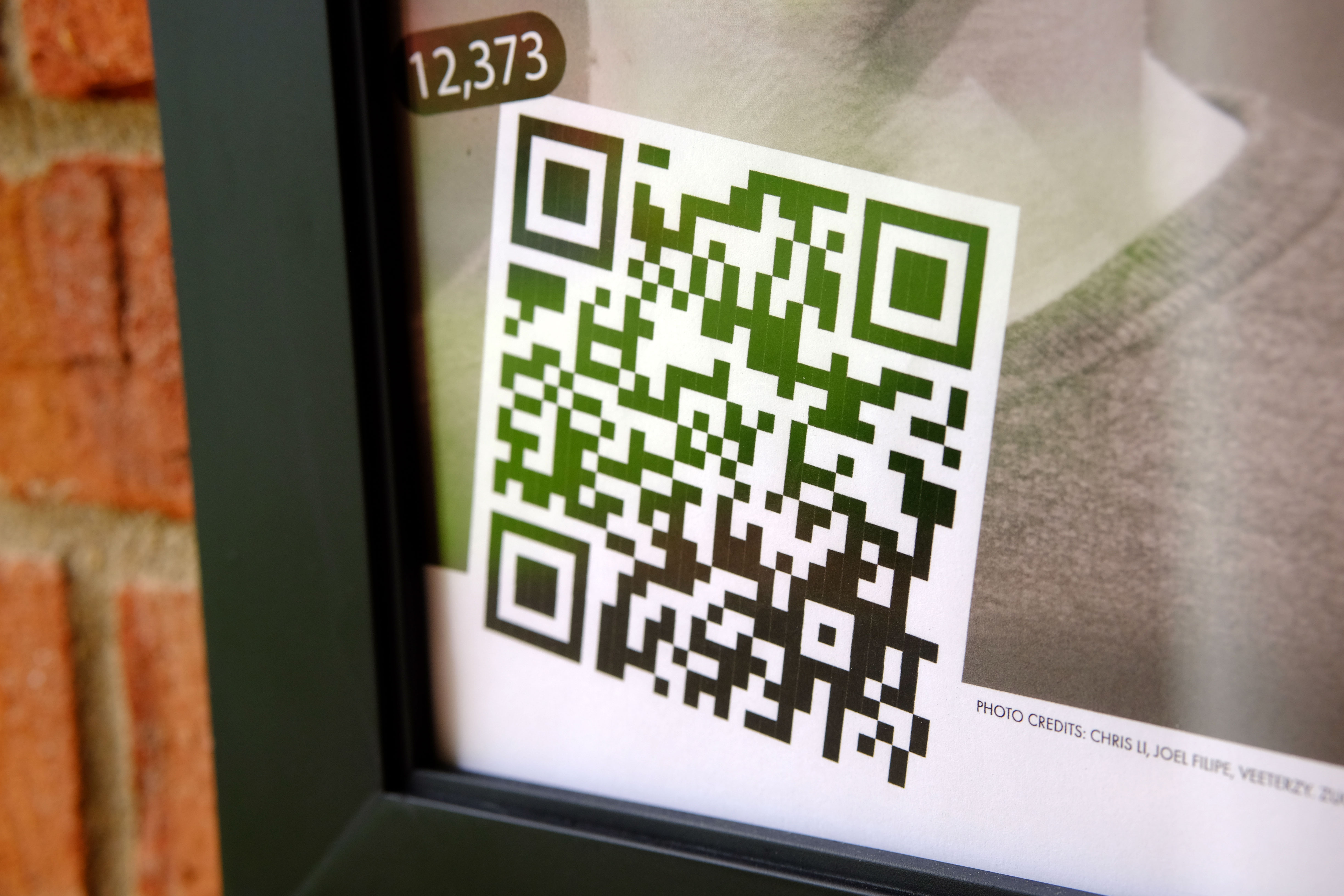 QR code detail